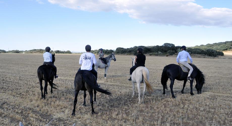 Ruta a caballo en grupo - Cortijo Las Minas