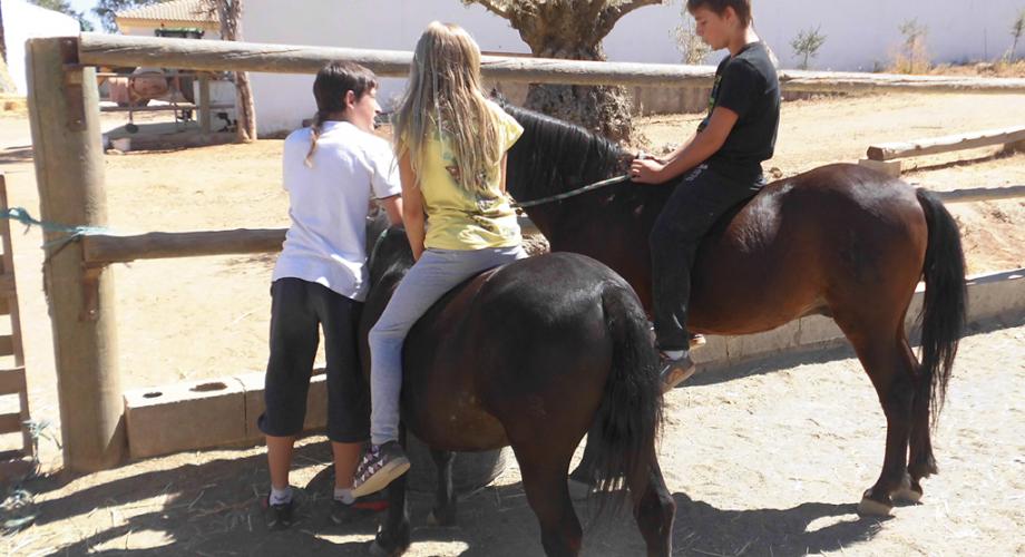 Ponies at Summer Camp - Cortijo Las Minas