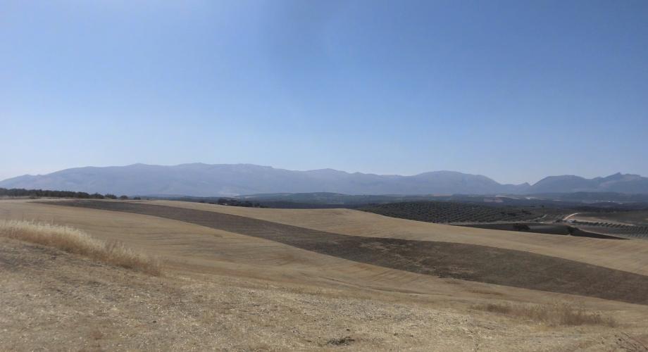 Rutas a Caballo, Vistas de las Sierras de Málaga - Cortijo Las Minas