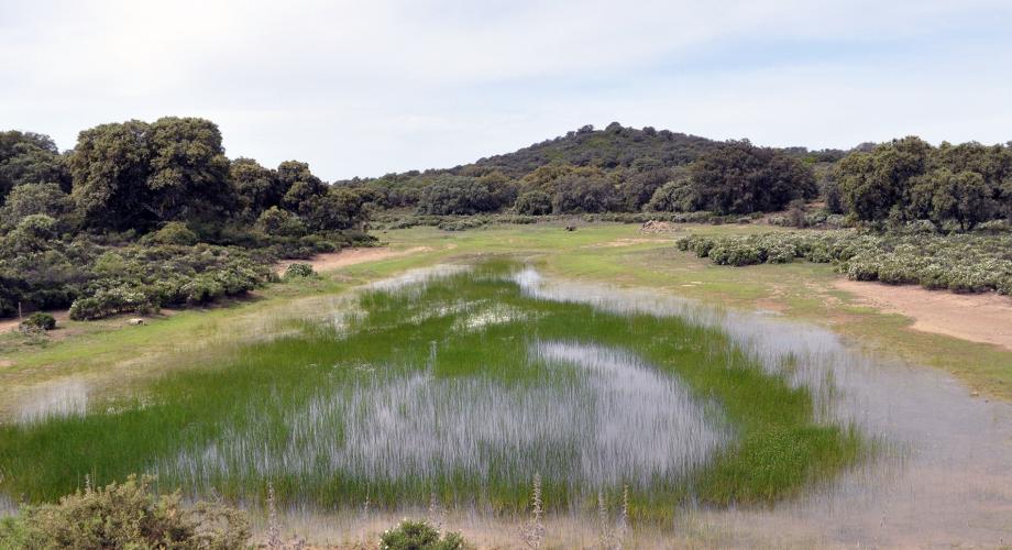 Escenas de primavera - Cortijo Las Minas