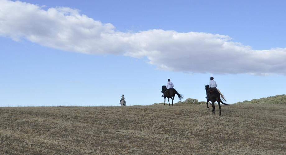 Espacios abiertos - Cortijo Las Minas