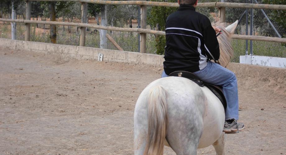 Terapias Ecuestres - Cortijo Las Minas