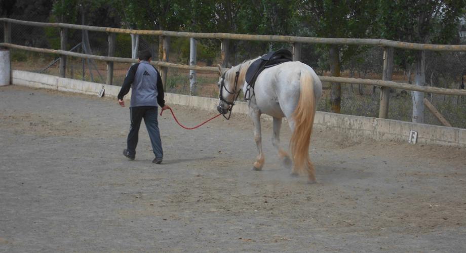 Equinoterapia - Cortijo Las Minas