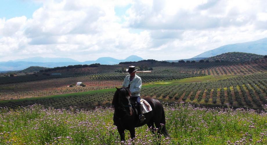 Vistas 360º Rutas a Caballo - Cortijo Las Minas