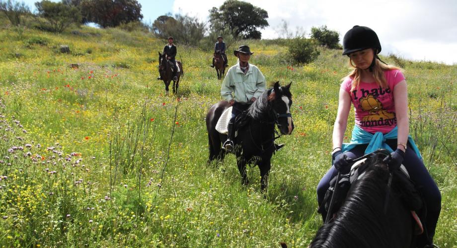 Rutas a Caballo en primavera - Cortijo Las Minas