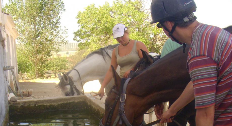 Abrevando a los Caballos- Cortijo Las Minas