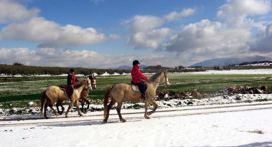 Rutas a Caballo por Paisajes Nevados - Cortijo Las Minas