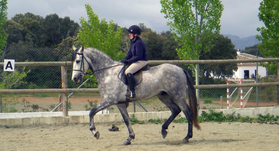 Clases Equitación para Adultos- Cortijo Las Minas