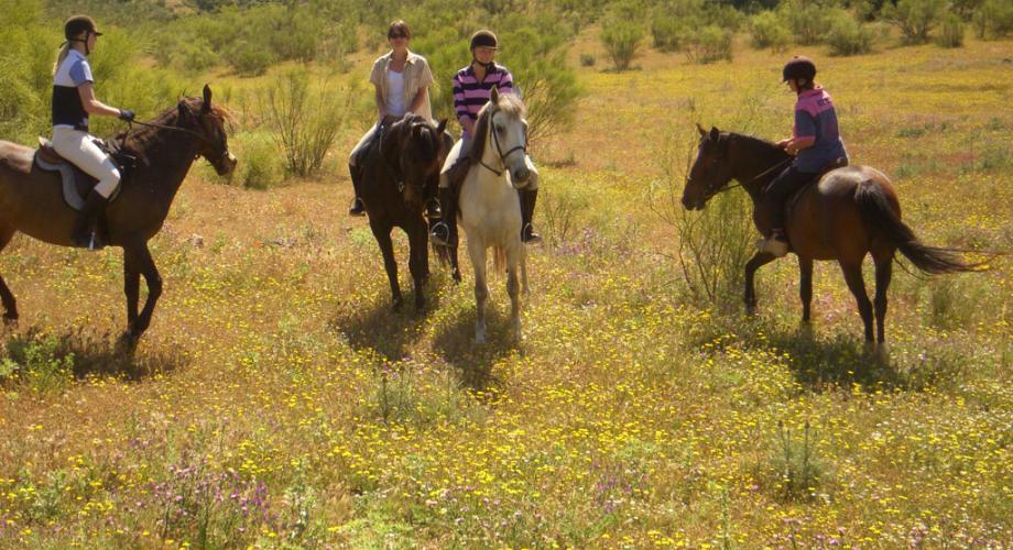 En Ruta a Caballo- Cortijo Las Minas