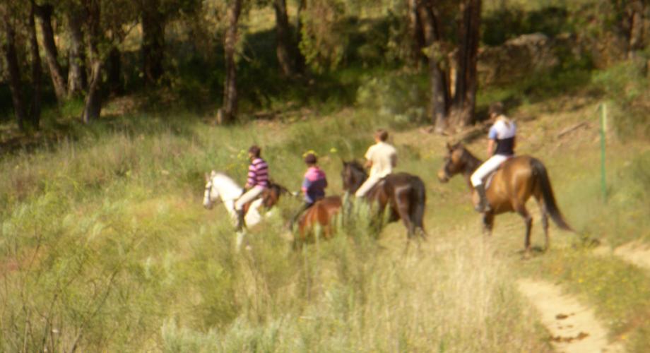 Paseos a Caballo- Cortijo Las Minas