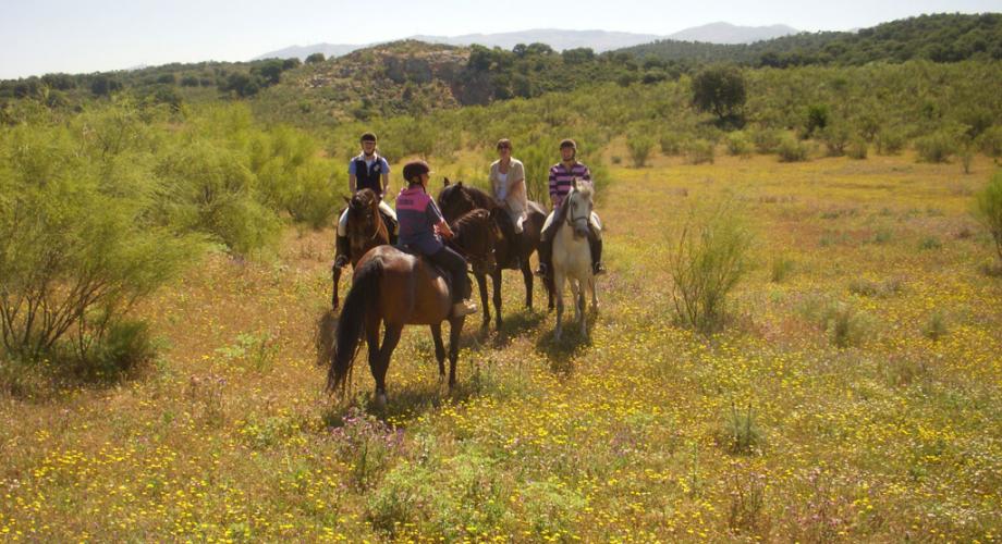 Rutas a Caballo- Cortijo Las Minas